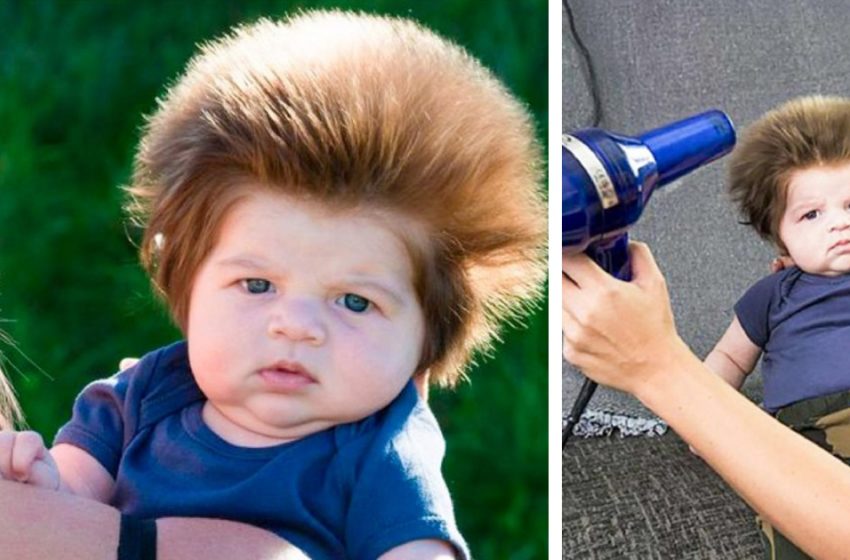  “He Was Like a Dandelion At 3!”: What Does The Boy Who Conquered The Hearts Of All The Netizens With His Hair Look Like Now?