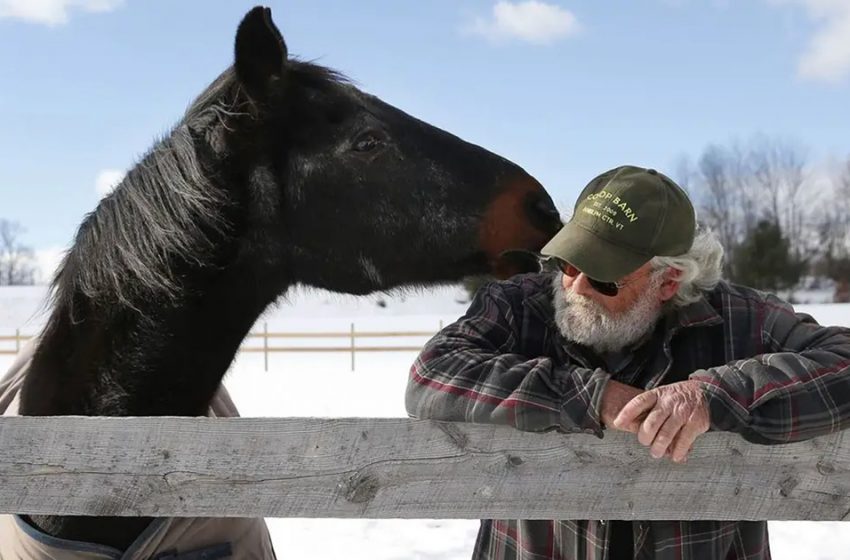  A 40-year-old Retired Racehorse and a 58-year-old Man Share the Greatest Friendship