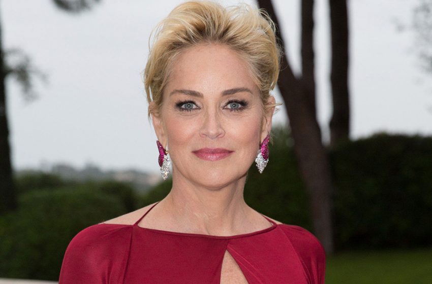  She has nothing to be embarrassed about. Sharon Stone, 65, stepped out in a see-through T-shirt