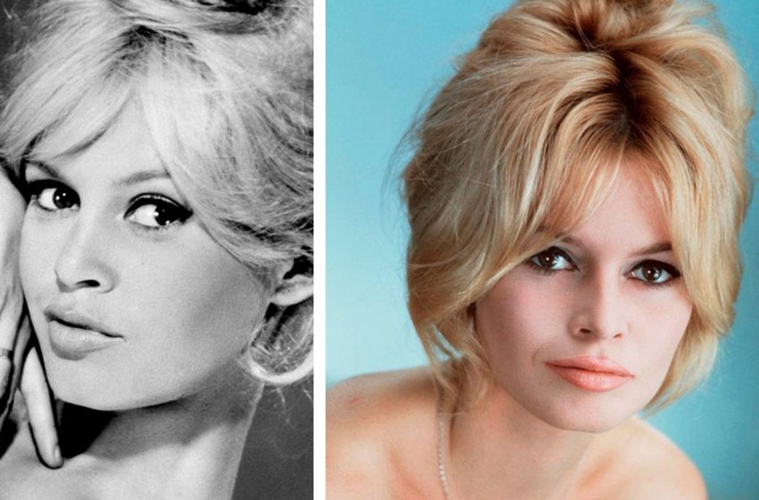  “You have to live for the little things”: how the beautiful Brigitte Bardot now looks and lives