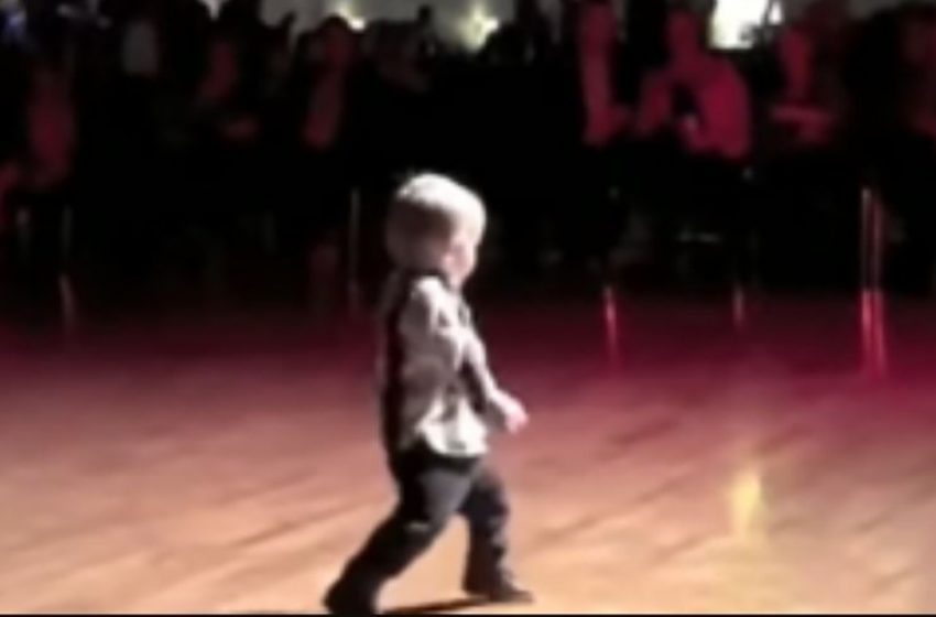  Bebek, Favori Elvis Şarkısında Dansa Başlıyor: Kalabalık Aşık Oluyor