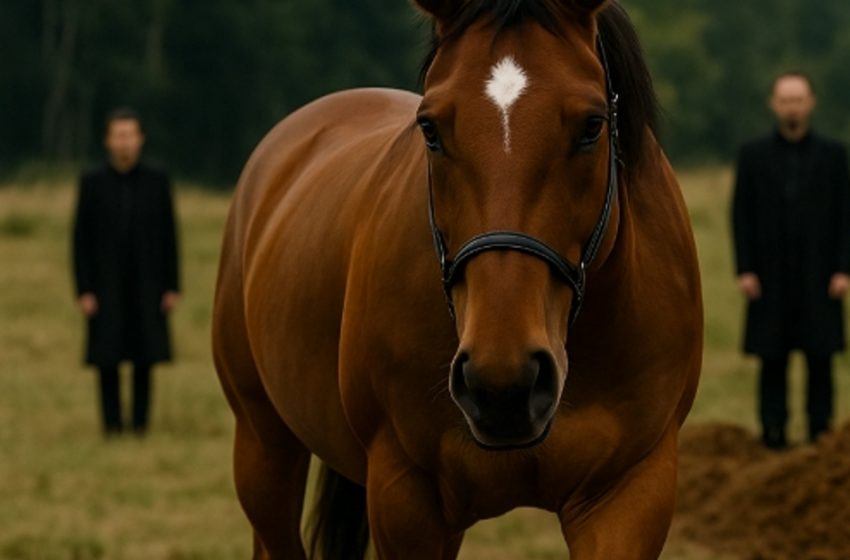  În timpul înmormântării, un cal a ieșit din pădure și s-a oprit lângă sicriu. Nimeni nu se aștepta de ce a venit.