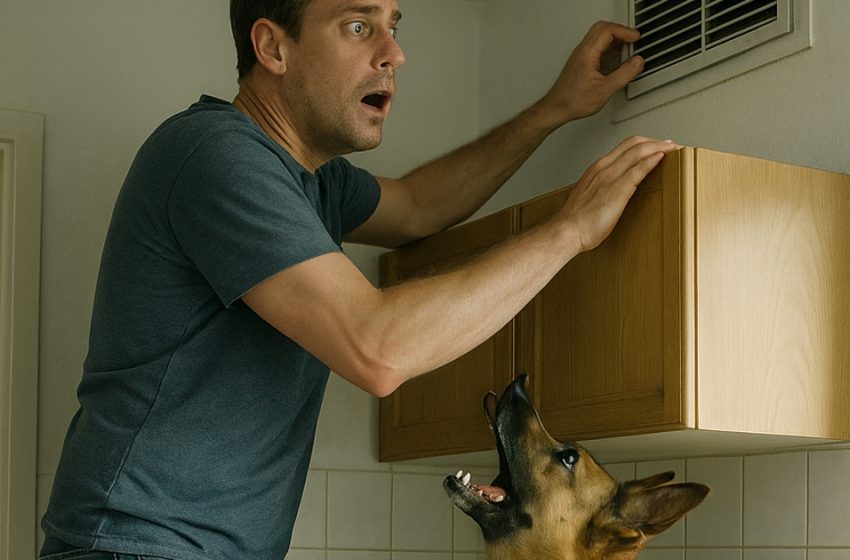  Mu koer hakkas käituma imelikult ja ronima kõrgele kapile, valjusti urisedes. Algul arvasin, et ta on hulluks läinud, kuni märkasin põhjust tema muutunud käitumise taga