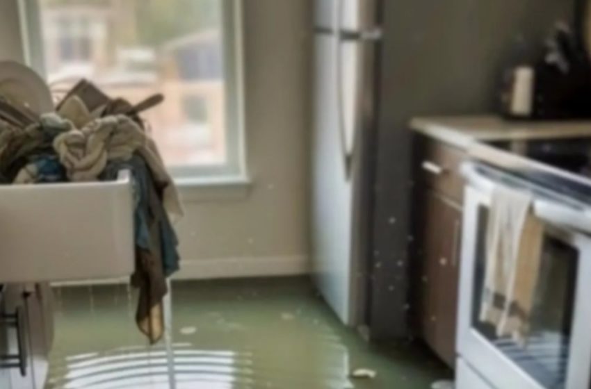  Sora mea vitregă însărcinată ne-a inundat casa din răzbunare!: Niciodată nu s-a așteptat la ceea ce am făcut noi după aceea.