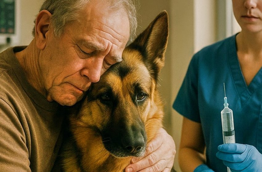  Koer klammerdus oma peremehe külge enne magamapanekut ja midagi märganud loomaarst hüüdis: “Stopp!” See, mis edasi juhtus, vapustas kõiki kohalviibijaid